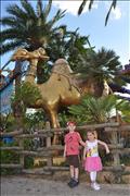 2011-02-22 18-09-54_0254